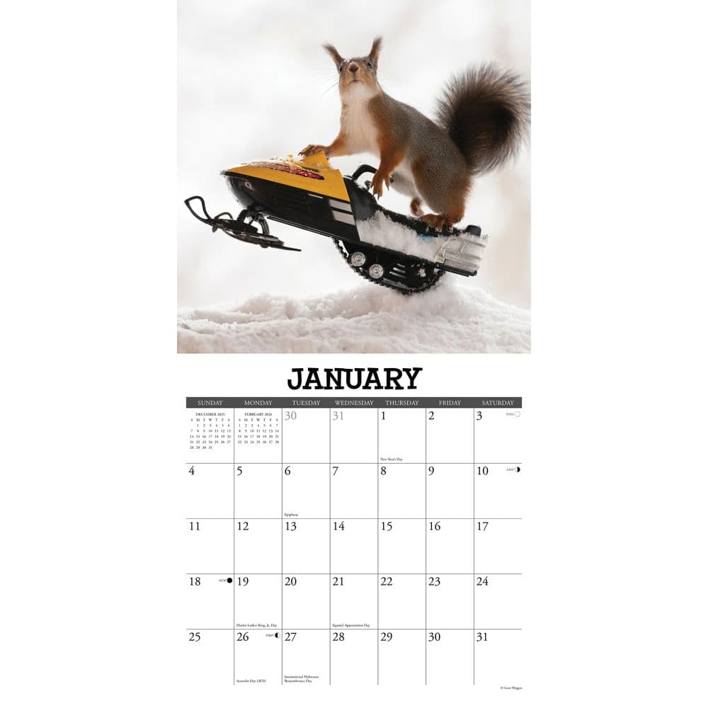 Getting Squirrelly 2026 Wall Calendar Second Alternate Image