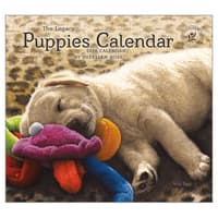 image Puppies by Sueellen Ross 2026 Wall Calendar  Main Image