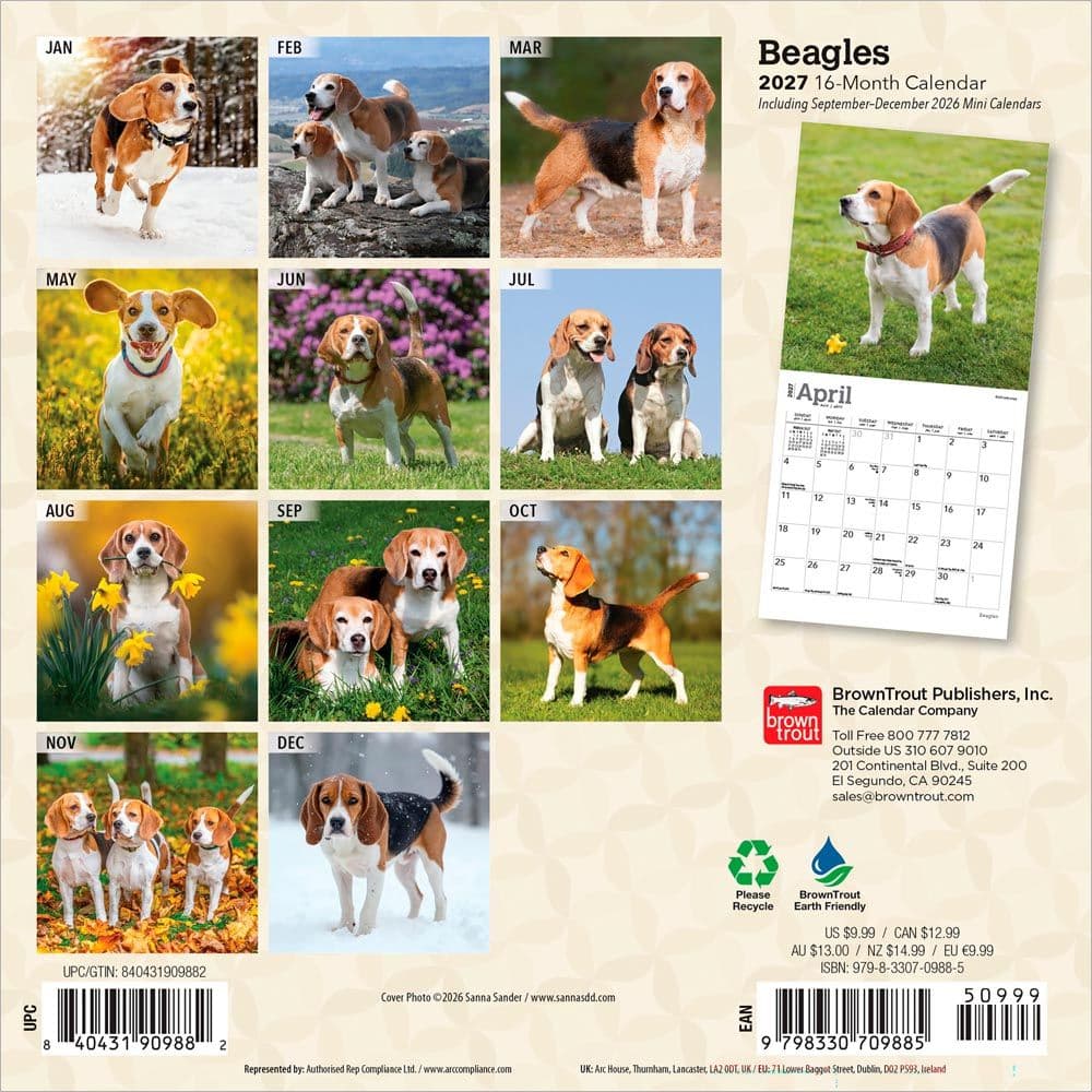 Beagle 2027 Mini Wall Calendar First Alternate Image