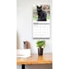 image Black Cats 2025 Wall Calendar on a wall