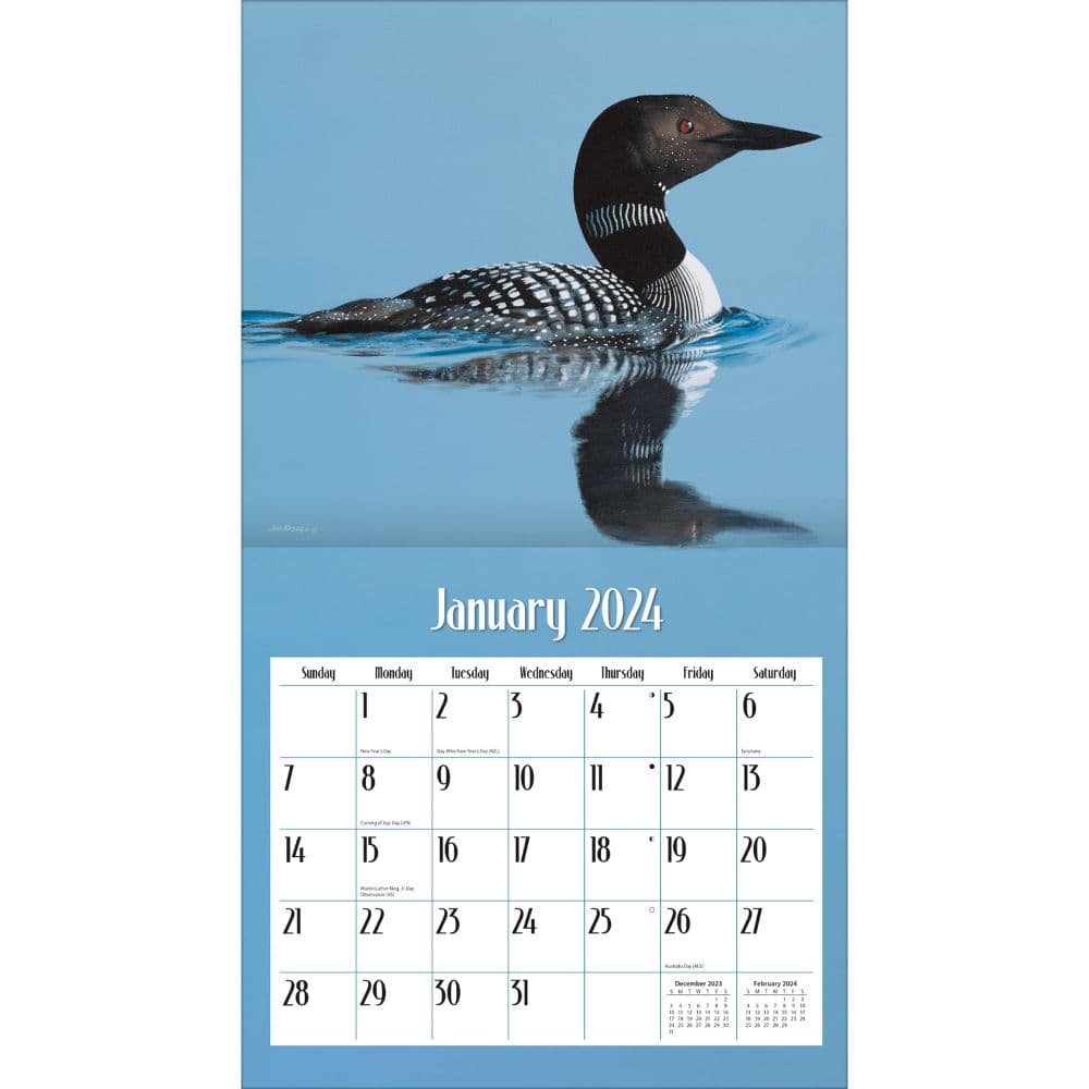 Loons On The Lake 2024 Wall Calendar Alternate Image 2