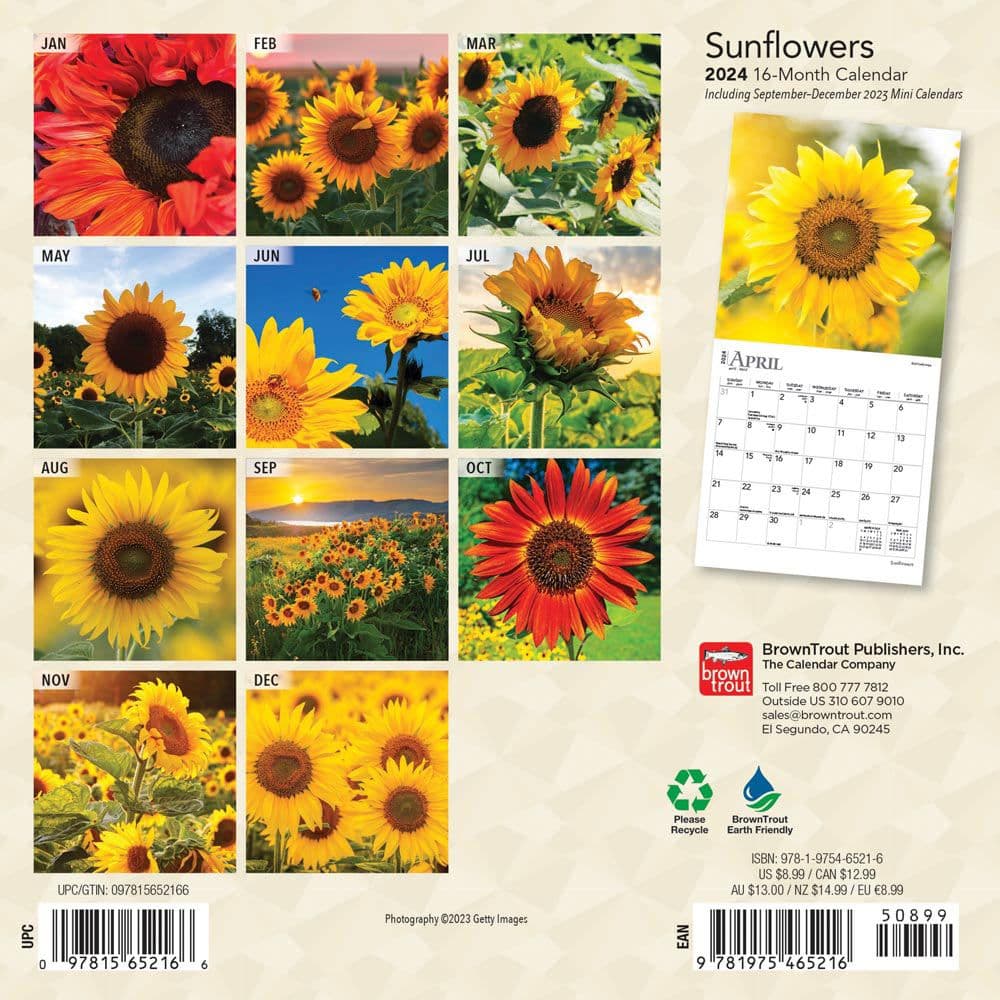 Sunflowers 2024 Mini Wall Calendar Alternate Image 1