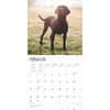 image Black Lab Retriever 2025 Wall Calendar Second Alternate Image width=&quot;1000&quot; height=&quot;1000&quot;