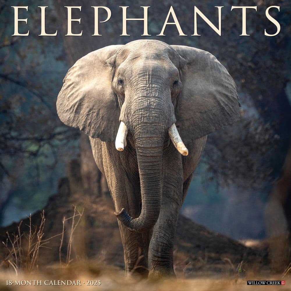 Elephants 2025 Wall Calendar