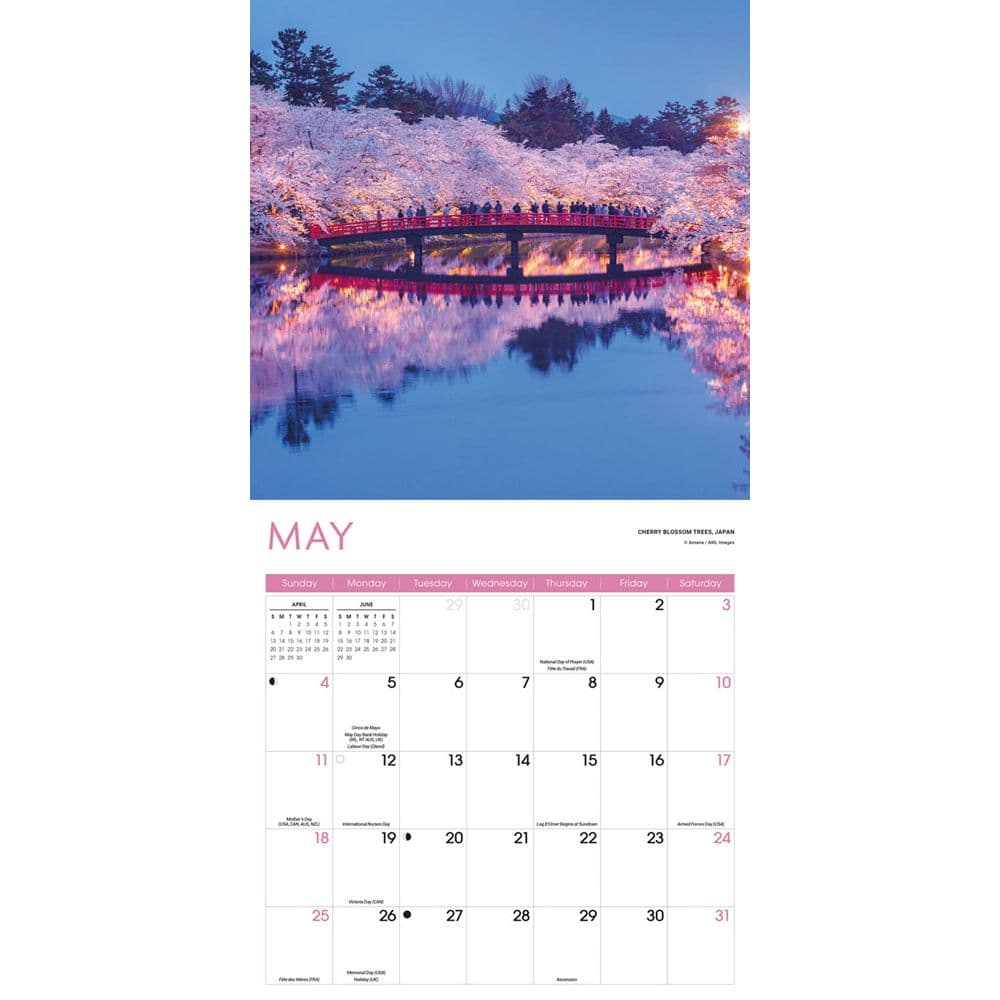 Trees 2025 Wall Calendar Third Alternate Image width=&quot;1000&quot; height=&quot;1000&quot;