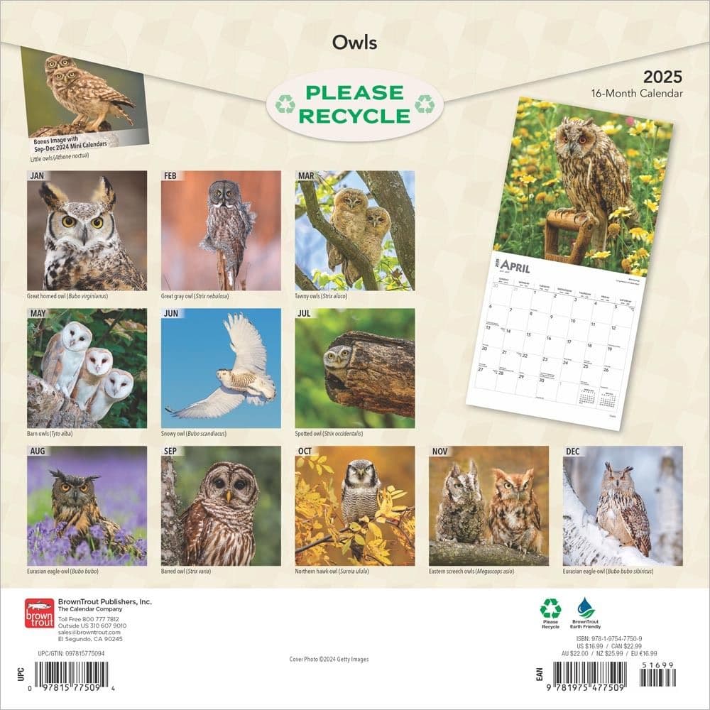 Owls 2025 Wall Calendar First Alternate Image