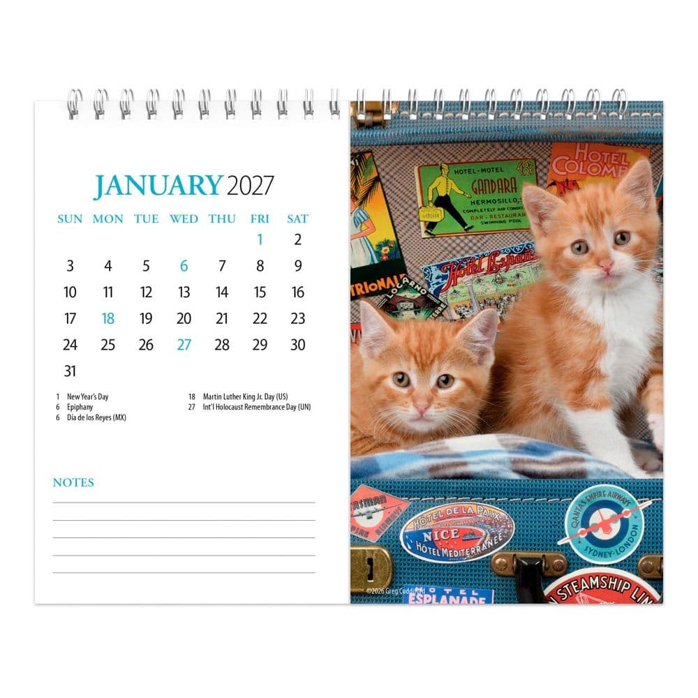 Kittens 2027 Double View Easel Desk Calendar Second Alternate Image