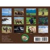 image Bears 2027 Wall Calendar First Alternate Image