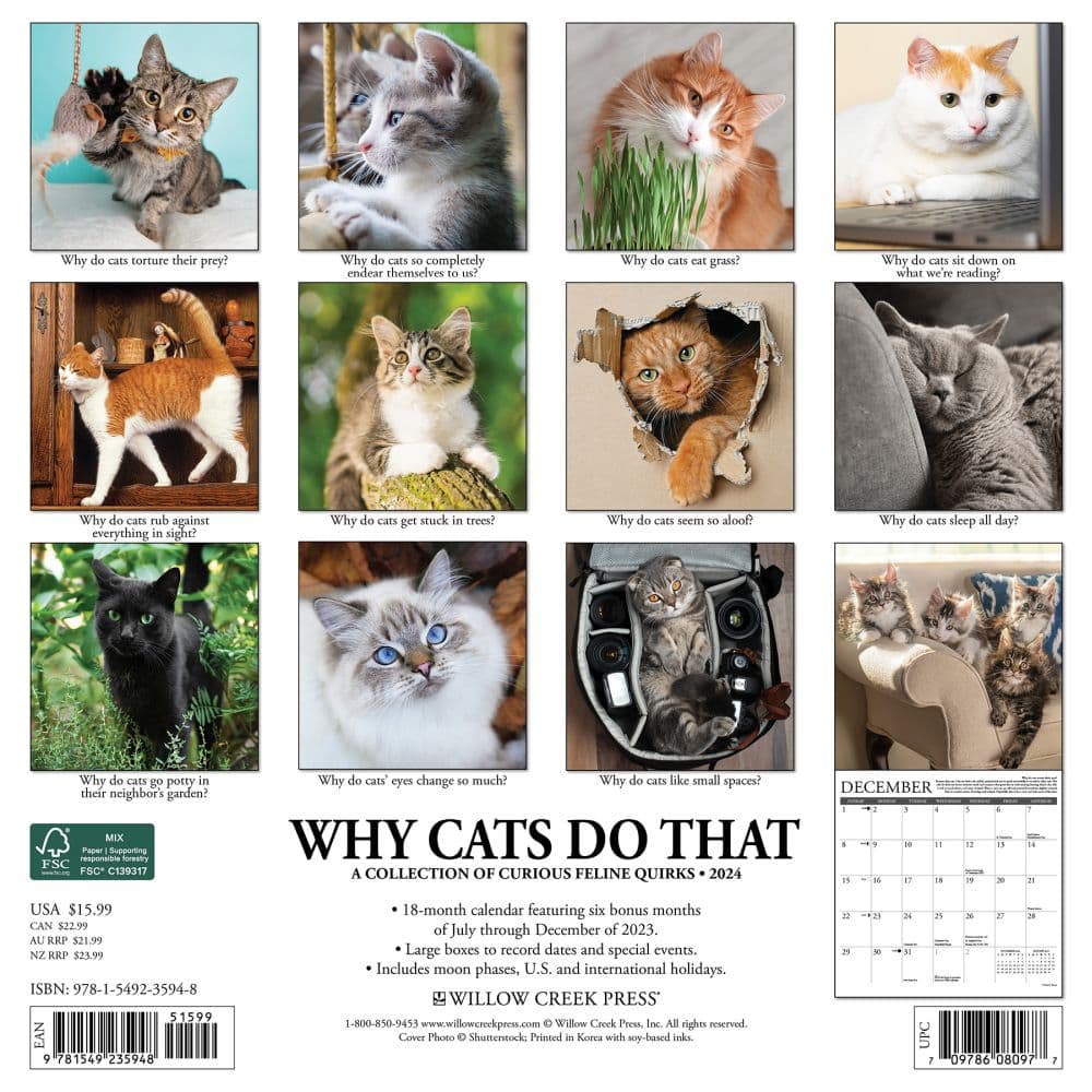 Why Cats Do That 2024 Wall Calendar Calendars Com   Bd52d578 D870 4160 886a 94d919b36762