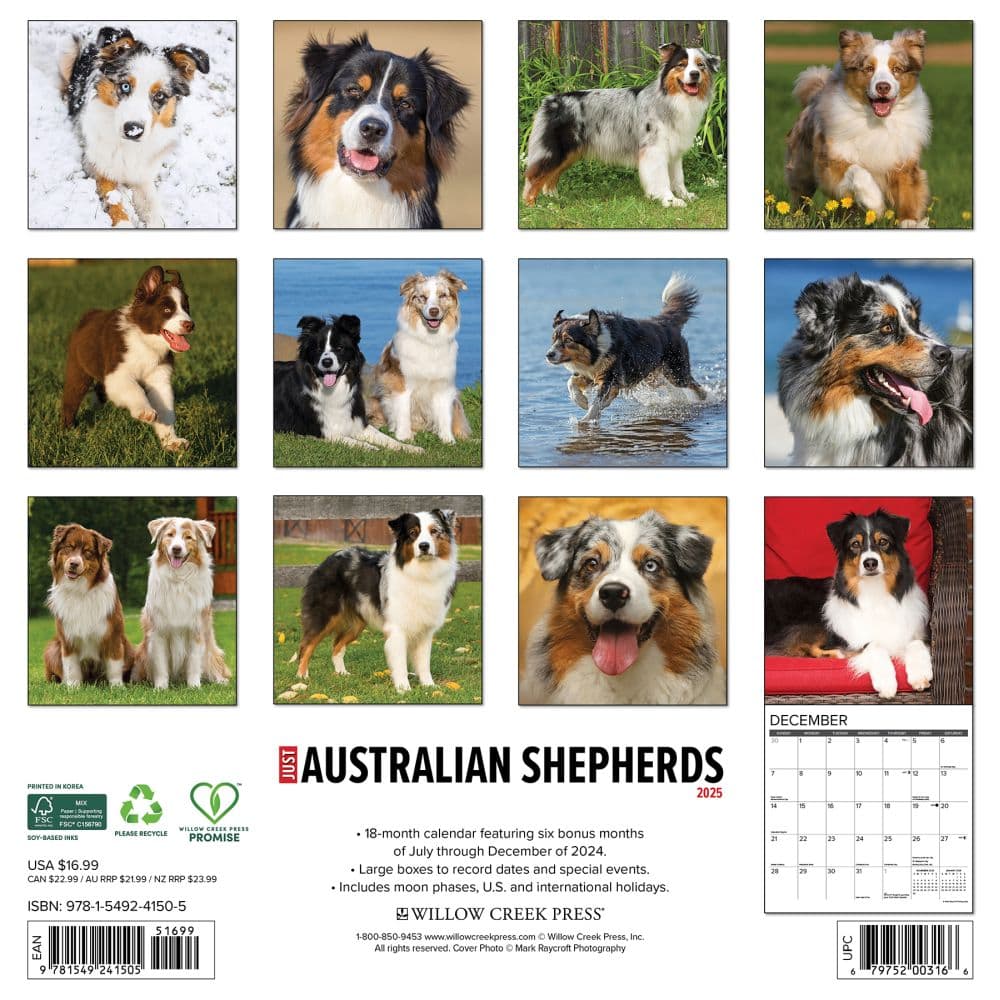 Just Australian Shepherds 2025 Wall Calendar