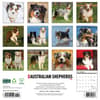 image Just Australian Shepherds 2025 Wall Calendar