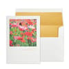 image Poppies in Field Friendship Card Main Product Image width=&quot;1000&quot; height=&quot;1000&quot;