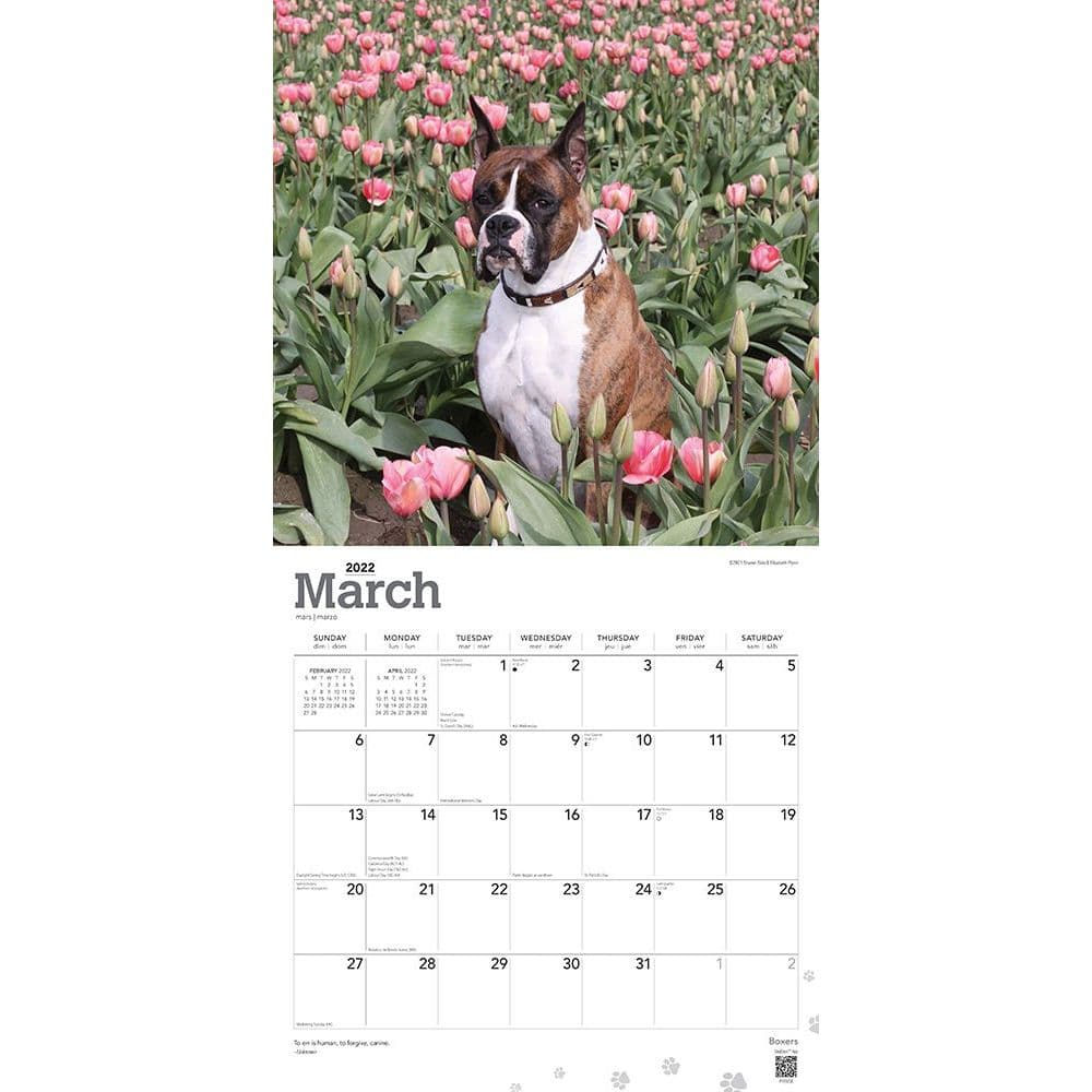 Boxers 2022 Wall Calendar - Calendars.com