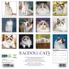 image Ragdoll Cats 2026 Wall Calendar First Alternate Image
