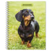image Dachshunds 2024 Engagement Planner Main Image