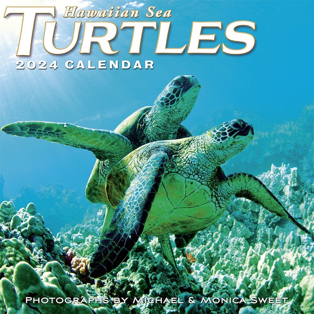 Hawaiian Sea Turtles 2024 Wall Calendar Main Product Image width=&quot;1000&quot; height=&quot;1000&quot;