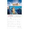 image Travel Cats 2026 Wall Calendar Third Alternate Image