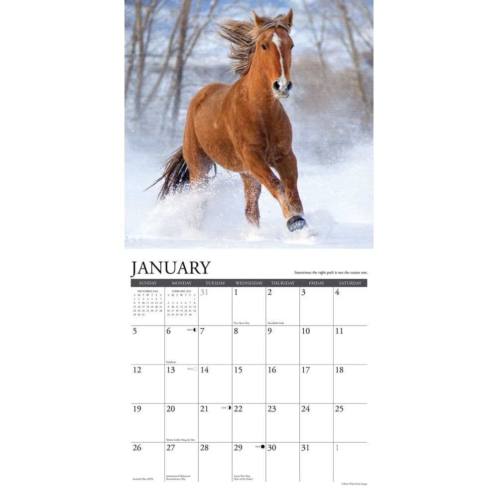 What Horses Teach Us 2025 Wall Calendar Second Alternate Image width=&quot;1000&quot; height=&quot;1000&quot;