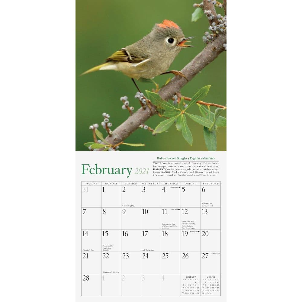 Audubon Sweet Songbirds Mini Wall Calendar