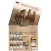 image Horses in the Mist 2027 Wall Calendar by Persis Clayton Weirs Fourth Alternate Image