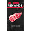 image NHL Detroit Red Wings 17 Month 2025 Pocket Planner Main Image