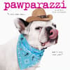 image Pawparazzi 2024 Wall Calendar Main Product Image width=&quot;1000&quot; height=&quot;1000&quot;