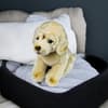 image Labrador 10 Inch Plush Fourth Alternate Image