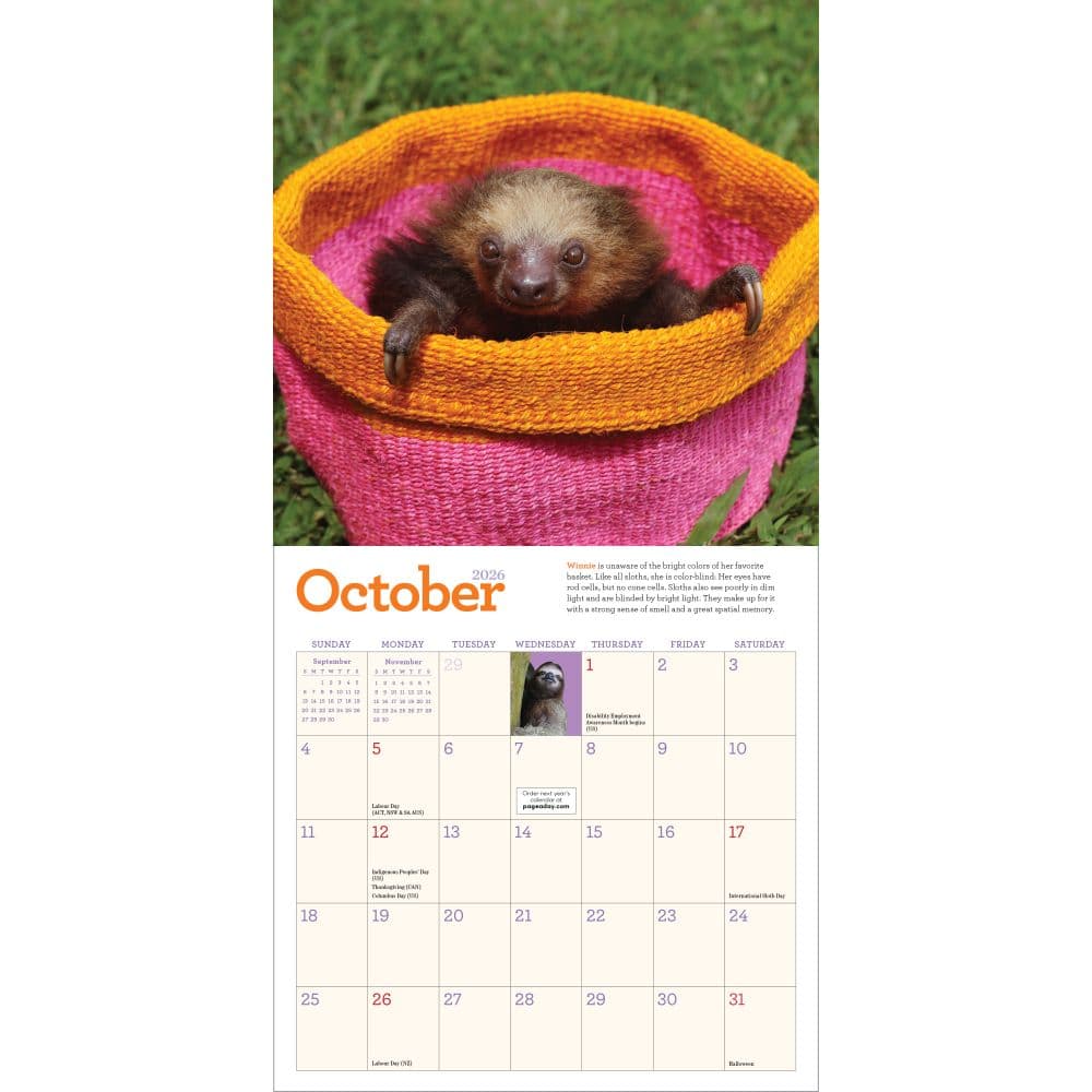Sloths 2026 Mini Wall Calendar Fourth Alternate Image
