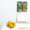 image Hummingbirds 2025 Wall Calendar Fourth Alternate Image