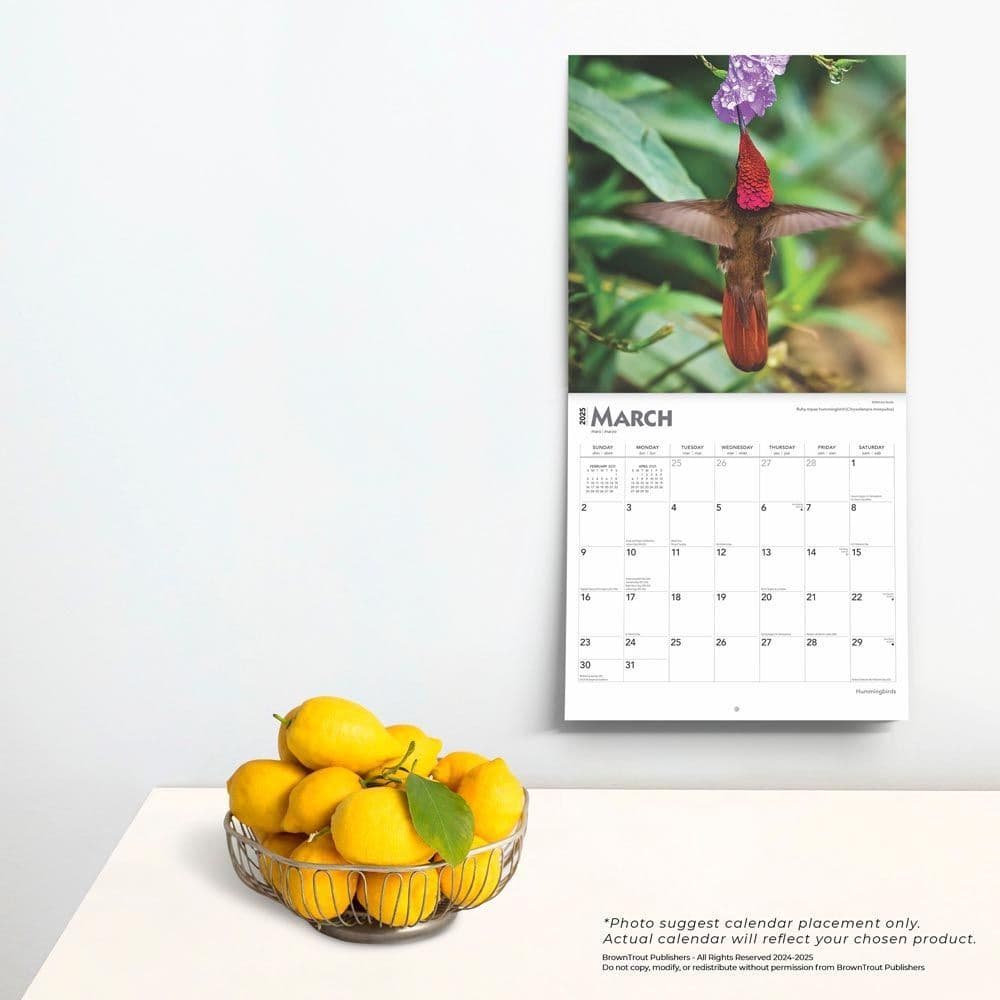 Hummingbirds 2025 Wall Calendar Fourth Alternate Image