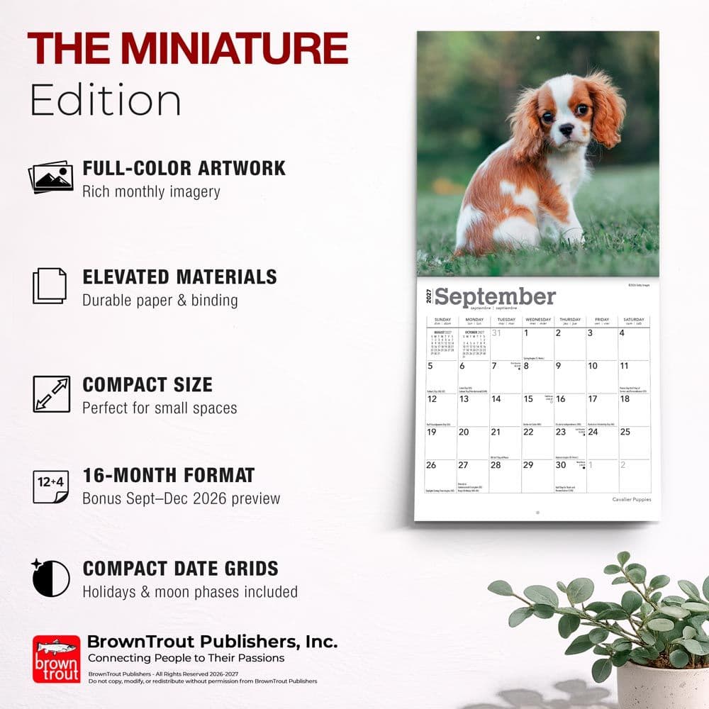 Cavalier King Charles Puppies 2027 Mini Wall Calendar Fifth Alternate Image