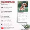 image Cavalier King Charles Puppies 2027 Mini Wall Calendar Fifth Alternate Image