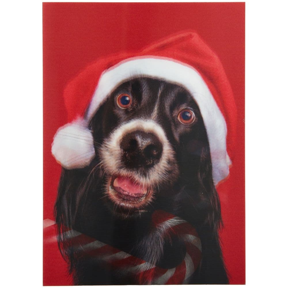 Dog and Candy Cane Christmas Card