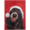 image Dog and Candy Cane Christmas Card First Alternate Image width=&quot;1000&quot; height=&quot;1000&quot;