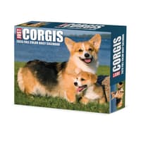 image Just Corgis 2026 Desk Calendar  Main Image