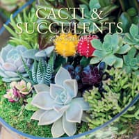 image Cacti and Succulents 2026 Wall Calendar Main Image