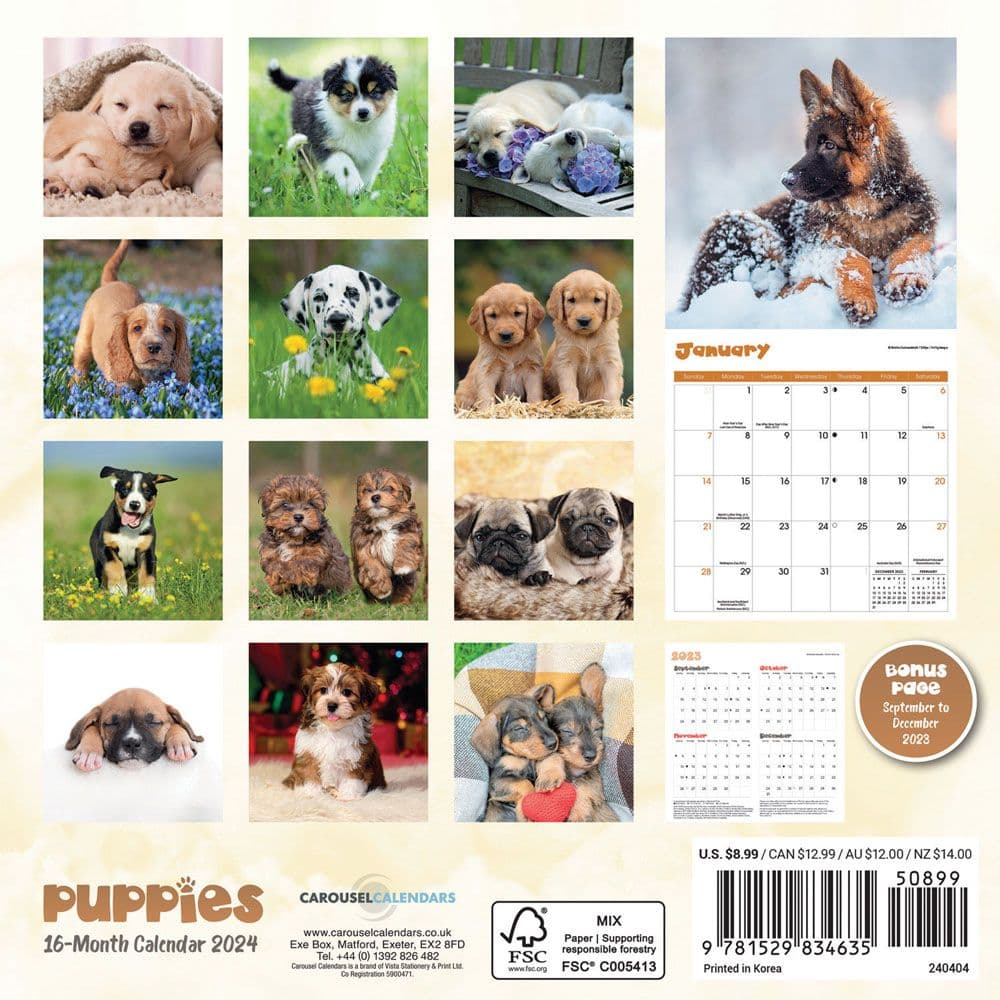 Puppies 2024 Mini Wall Calendar