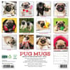 image Pug Mugs 2025 Wall Calendar First Alternate Image width=&quot;1000&quot; height=&quot;1000&quot;