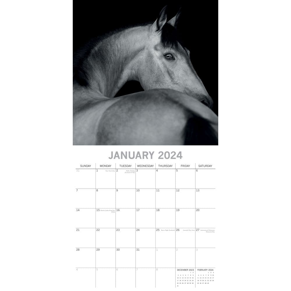 Horse Portraits 2024 Wall Calendar January