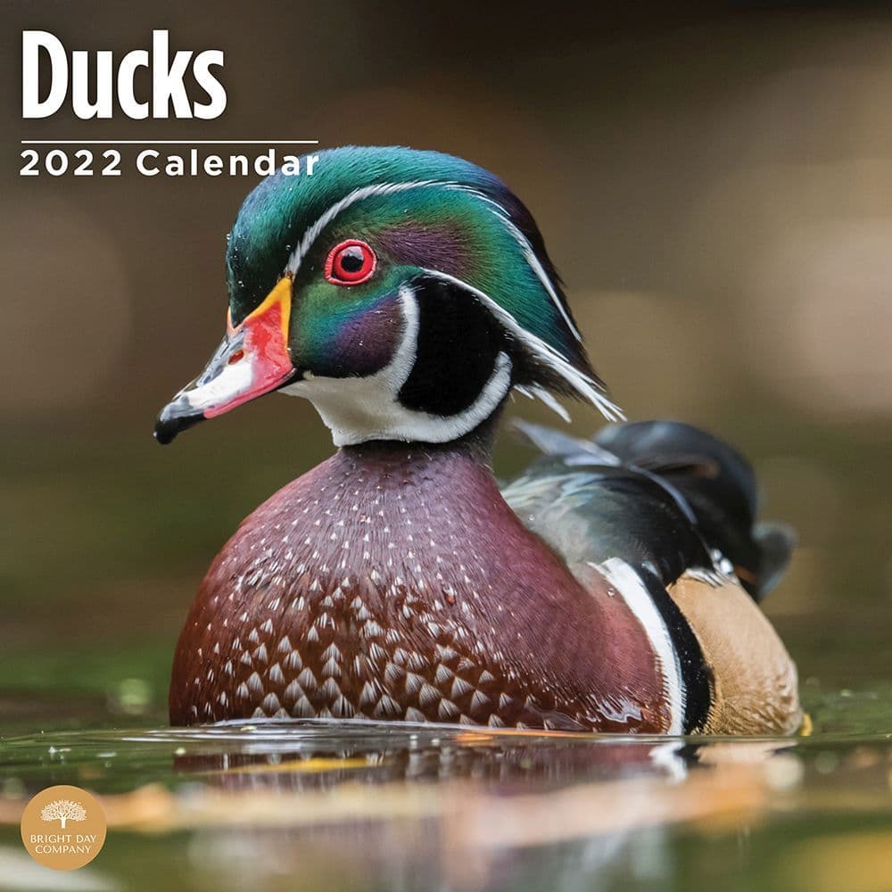 Mallards Schedule 2022 Ducks 2022 Wall Calendar - Calendars.com