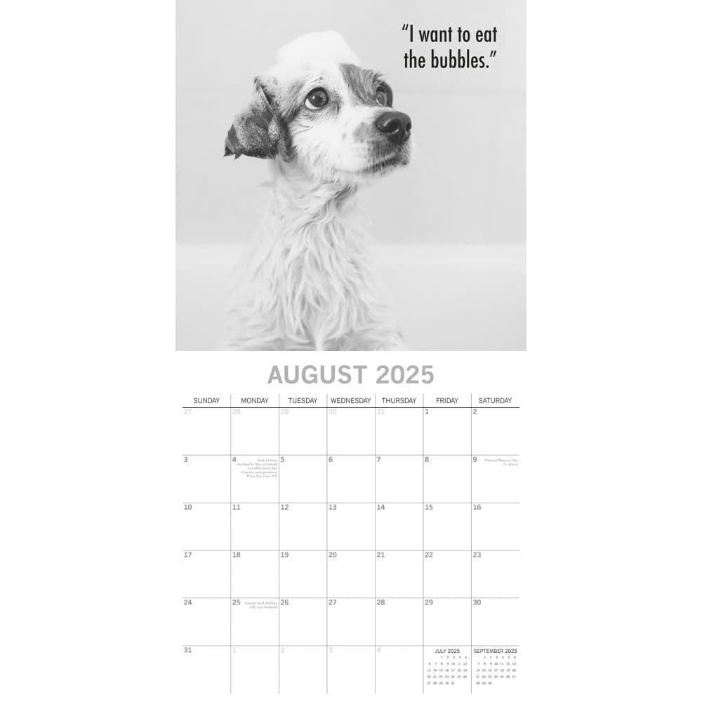 Mutts 2025 Wall Calendar ThirdAlternate Image width=&quot;1000&quot; height=&quot;1000&quot;