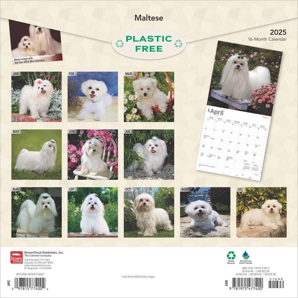 Maltese 2025 Wall Calendar First Alternate Image width=&quot;1000&quot; height=&quot;1000&quot;