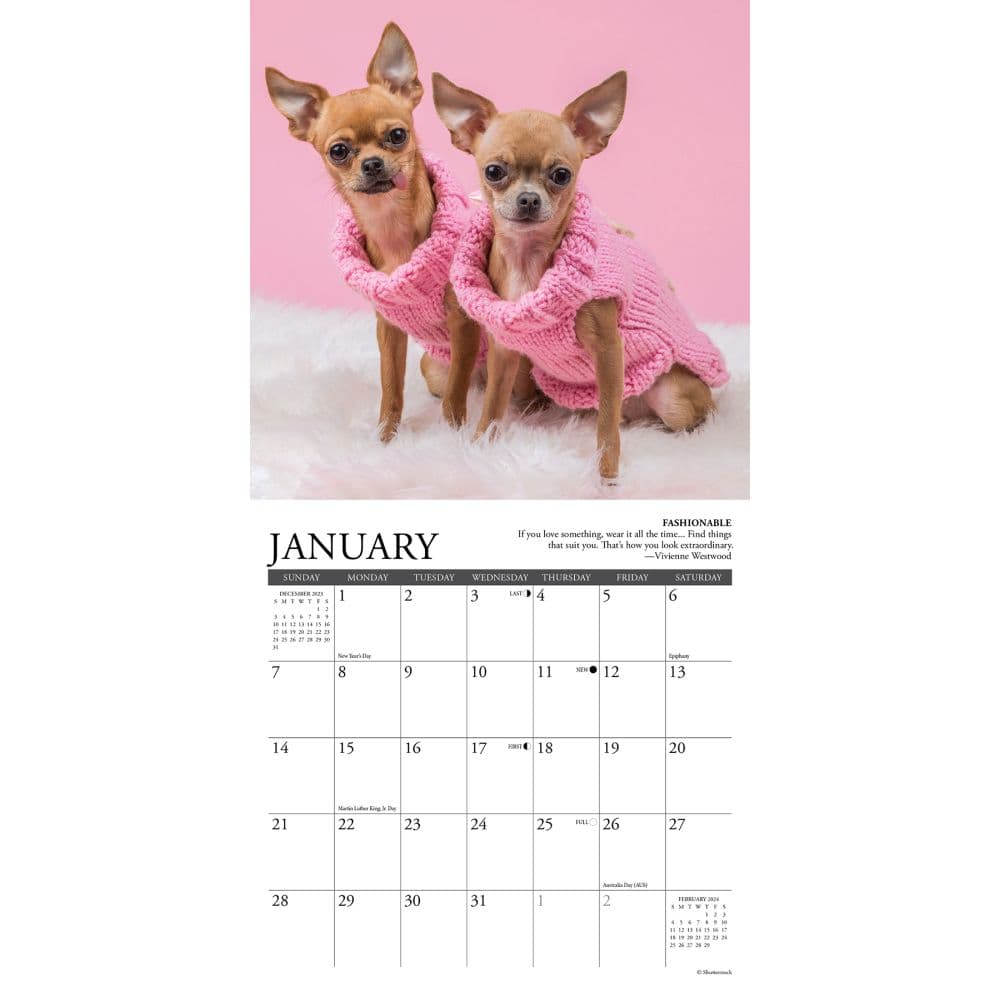 Chihuahua Rules 2024 Mini Wall Calendar