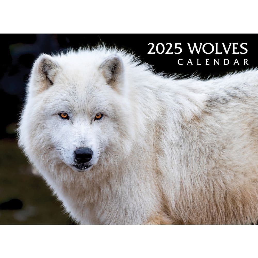 Wolves 2025 Wall Calendar