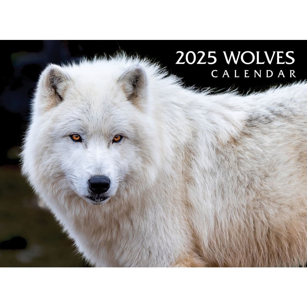 Wolves 2025 Wall Calendar Main Image