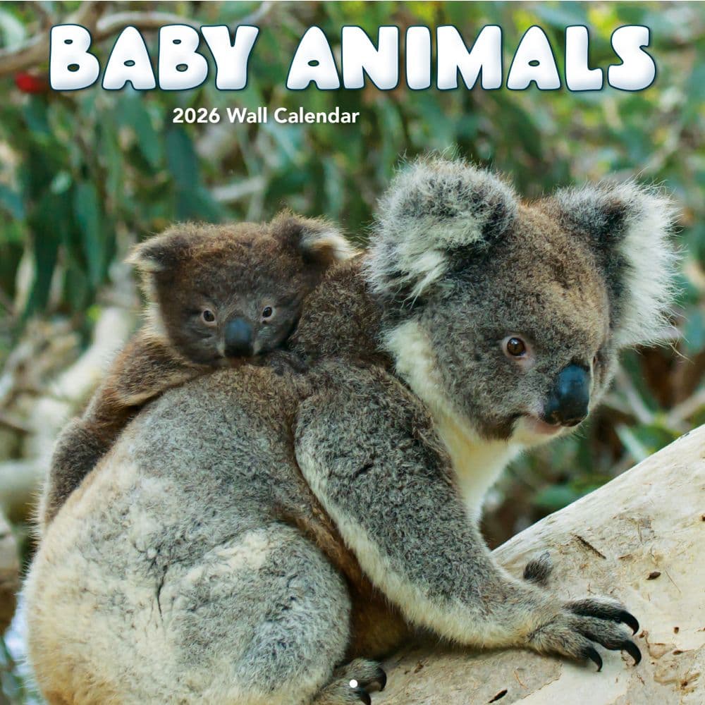Baby Animals Photo 2026 Wall Calendar_Main Image