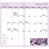 image Kitten Cuddles 2 Year 2026 Pocket Planner Second Alternate Image