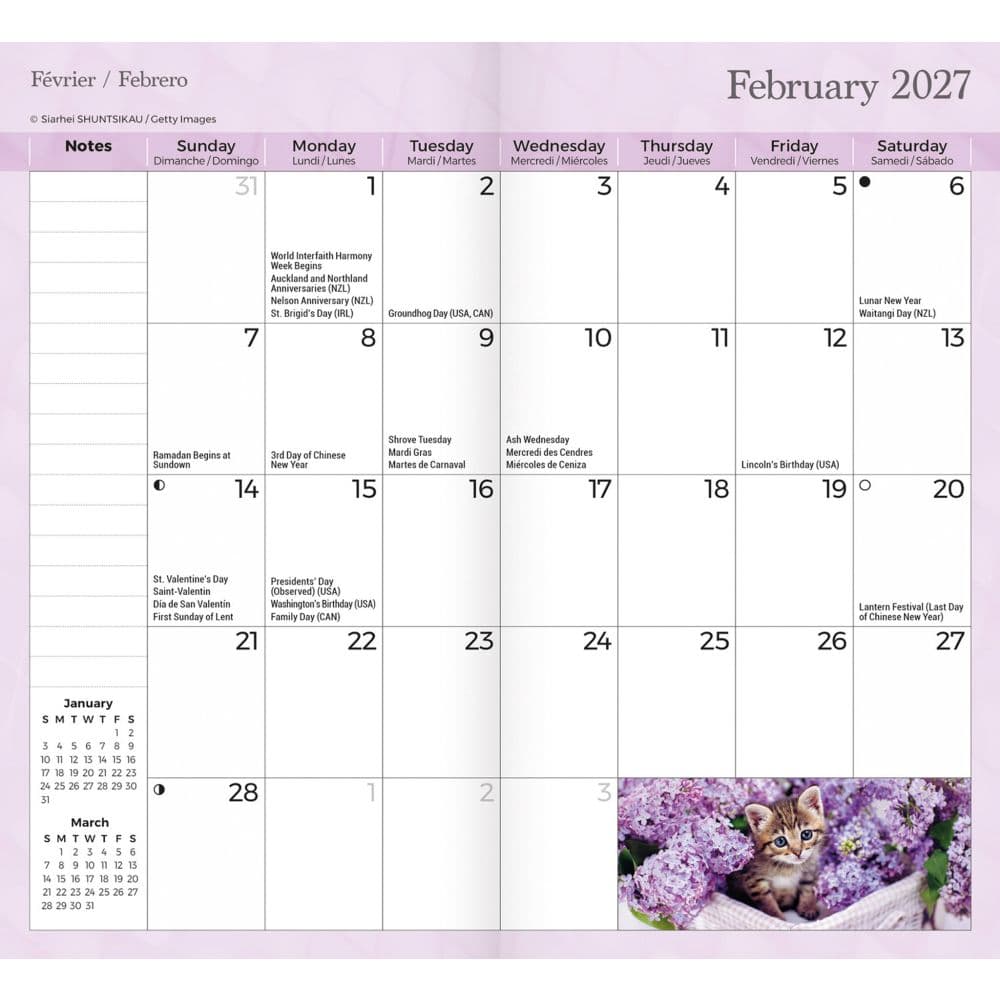 Kitten Cuddles 2 Year 2026 Pocket Planner Second Alternate Image