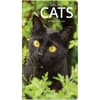 image Cats 2 Year 2025 Pocket Planner Main Image