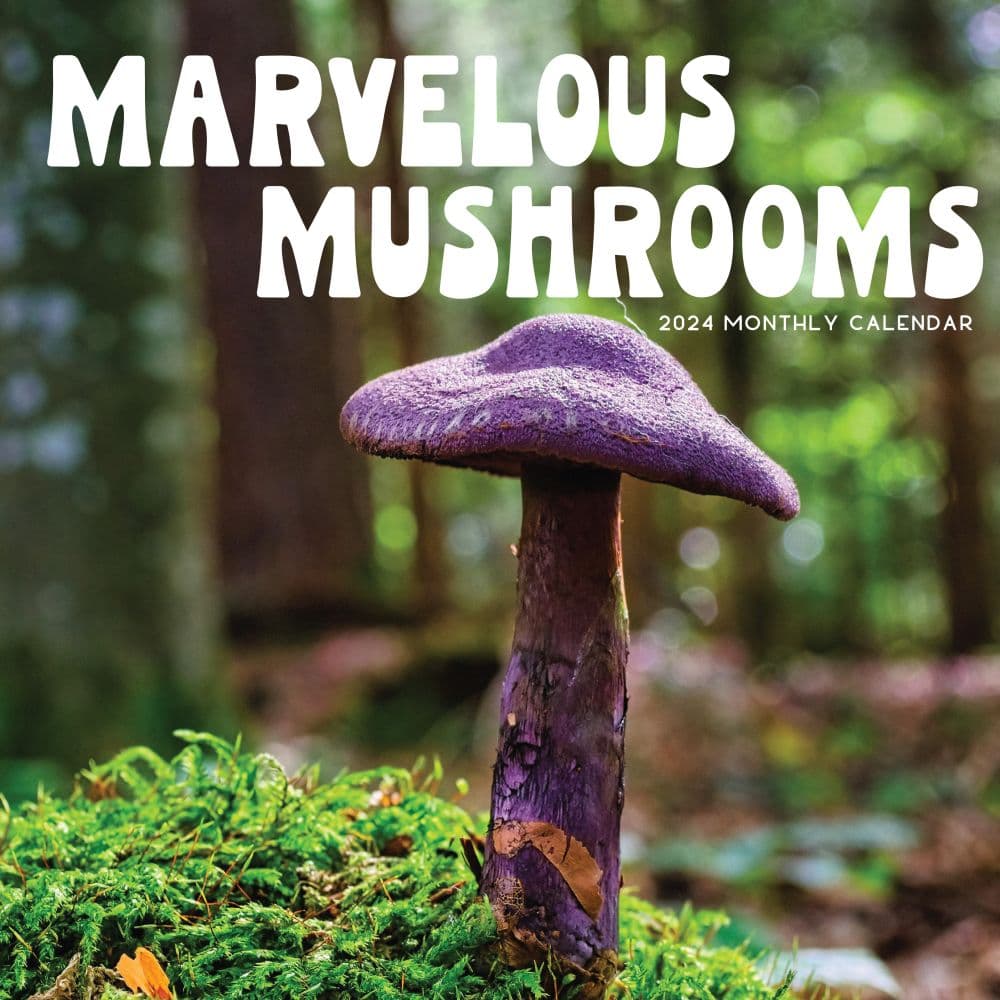 Marvelous Mushrooms 2024 Wall Calendar Calendars Com   Be52facb 19e3 4071 Abde 51c6ad161e3a